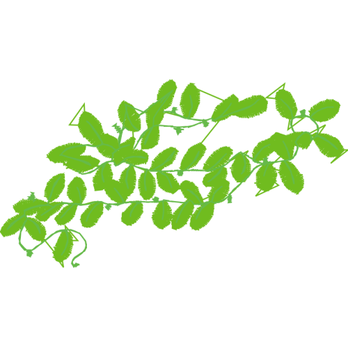 Illustration Quotes Illustration Quotes