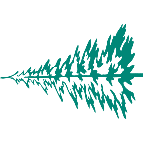 Illustration Quotes Illustration Quotes