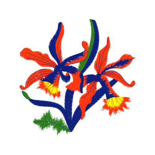 Illustration Quotes Illustration Quotes