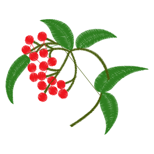 Illustration Quotes Illustration Quotes