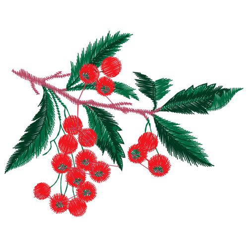 Illustration Quotes Illustration Quotes