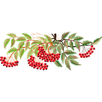 Illustration Quotes Illustration Quotes