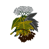 Illustration Quotes Illustration Quotes