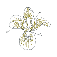 Line Art Quotes Line Art Quotes