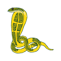 Python Family Quotes