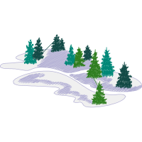 Shortleaf Pine Quotes