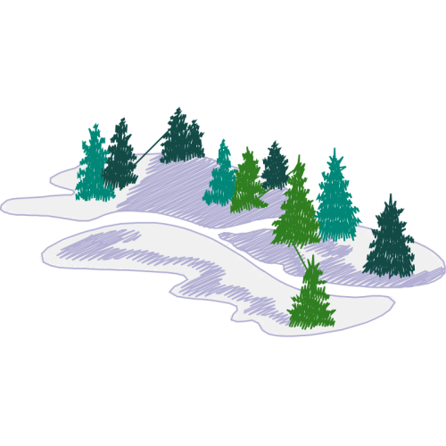 Shortleaf Pine Quotes Shortleaf Pine Quotes