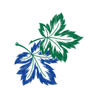 Art Quotes Art Quotes