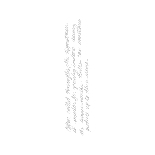 Handwriting Quotes Handwriting Quotes