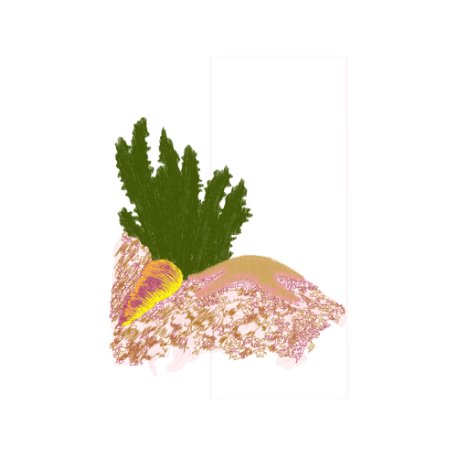 Textile Quotes Textile Quotes