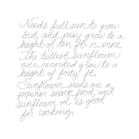 Writing Quotes Writing Quotes