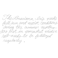 Writing Quotes Writing Quotes