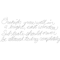 Writing Quotes Writing Quotes