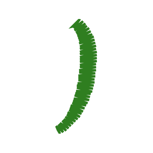 Color Quotes Color Quotes