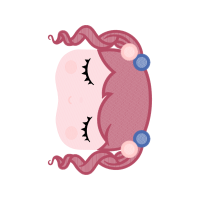 Cartoon Quotes Cartoon Quotes