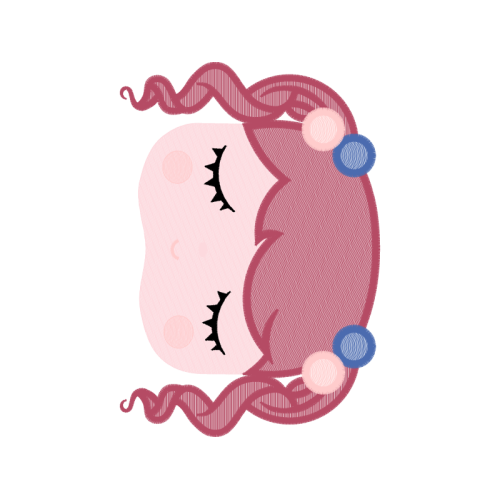 Cartoon Quotes Cartoon Quotes