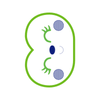 Circle Quotes Circle Quotes