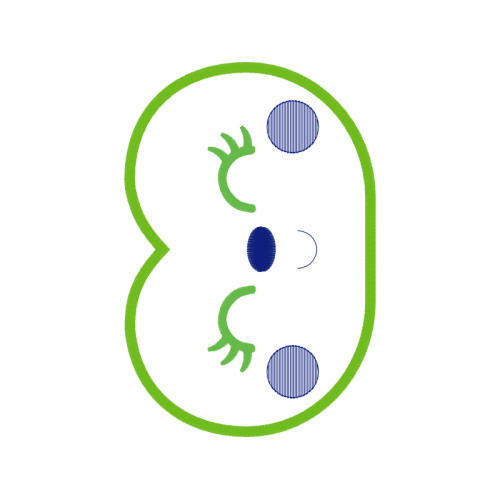 Circle Quotes Circle Quotes