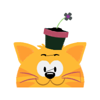 Illustration Quotes Illustration Quotes