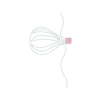 Line Art Quotes Line Art Quotes