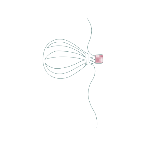 Line Art Quotes Line Art Quotes