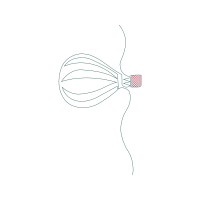 Line Art Quotes Line Art Quotes