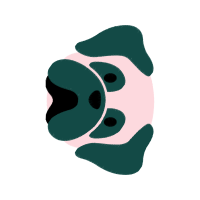 Visual Arts Quotes Visual Arts Quotes