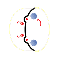 Circle Quotes Circle Quotes