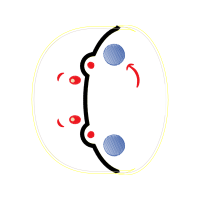 Circle Quotes Circle Quotes