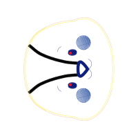 Circle Quotes Circle Quotes