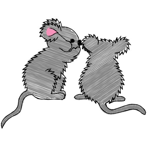 Cartoon Wedding Cartoon Wedding