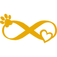 Dog Wedding Dog Wedding