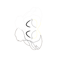 Drawing Wedding Drawing Wedding