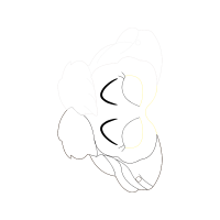 Drawing Wedding Drawing Wedding