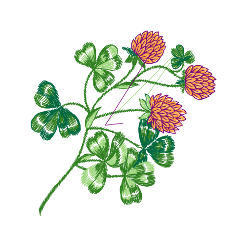 Evergreen Rose Wedding Evergreen Rose Wedding