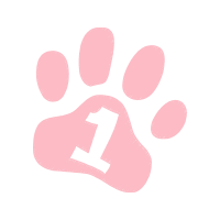 Meter Wedding Meter Wedding