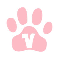 Meter Wedding Meter Wedding