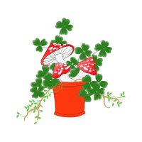 Redwood Sorrel Wedding