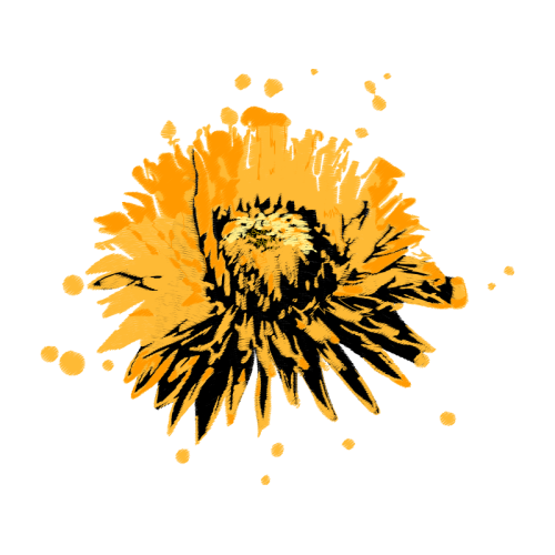 Towel Wedding Towel Wedding