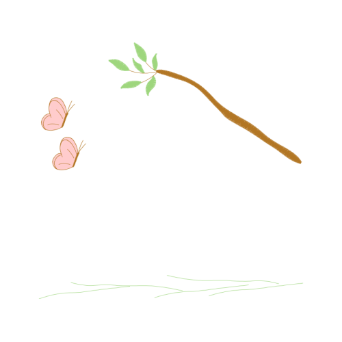 White Clover Wedding White Clover Wedding