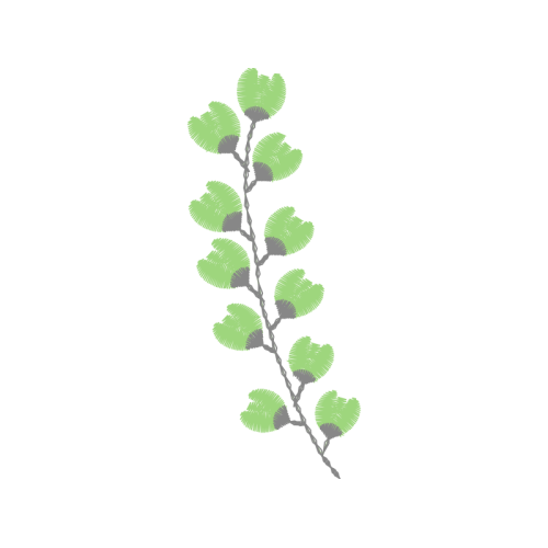 Winged Elm Wedding Winged Elm Wedding