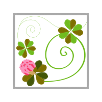 Evergreen Rose Wedding Evergreen Rose Wedding