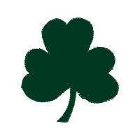 Graphic Wedding Graphic Wedding