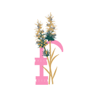 Illustration Wedding Illustration Wedding