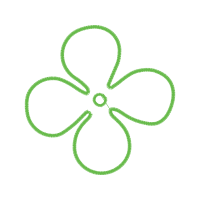 Meter Wedding Meter Wedding