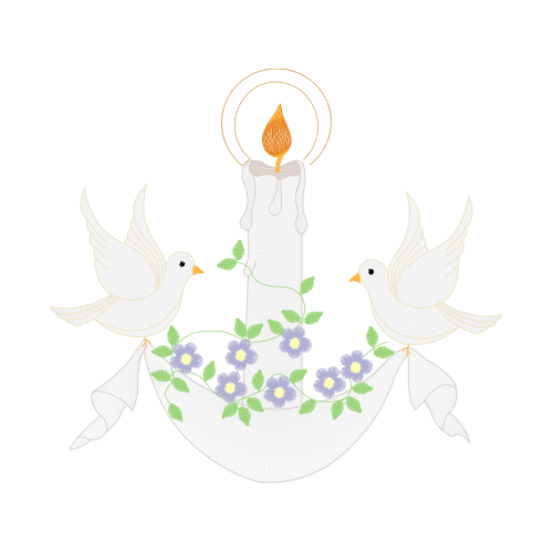 American Dipper Wedding American Dipper Wedding