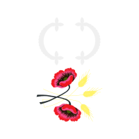 Chinese Peony Wedding