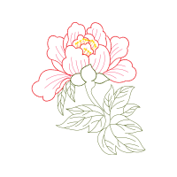 Common Peony Wedding