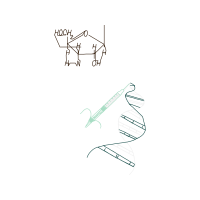 Drawing Wedding Drawing Wedding