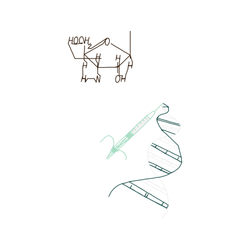 Drawing Wedding Drawing Wedding